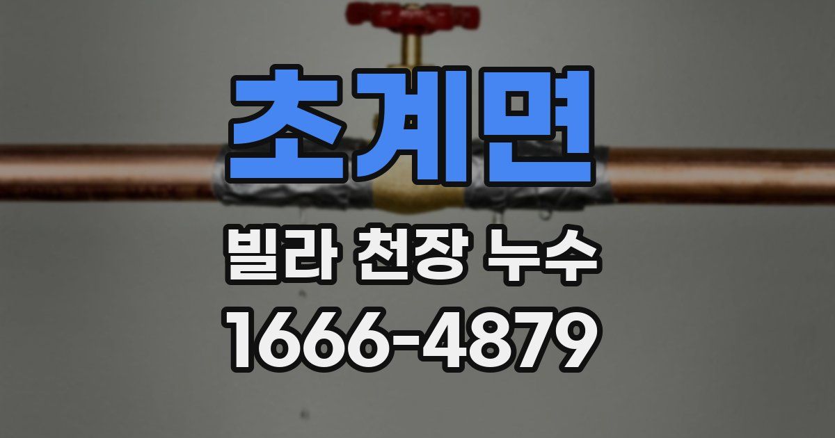 초계면 빌라 천장 누수