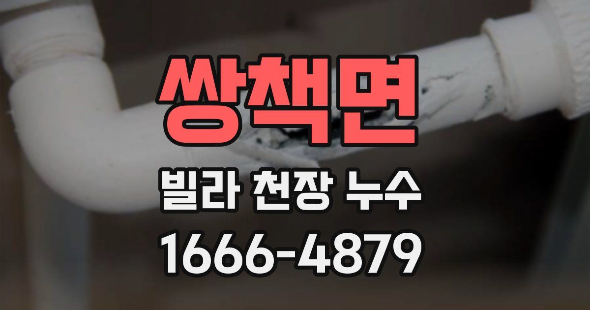 쌍책면 빌라 천장 누수