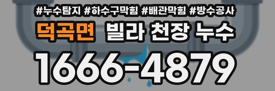 덕곡면 빌라 천장 누수