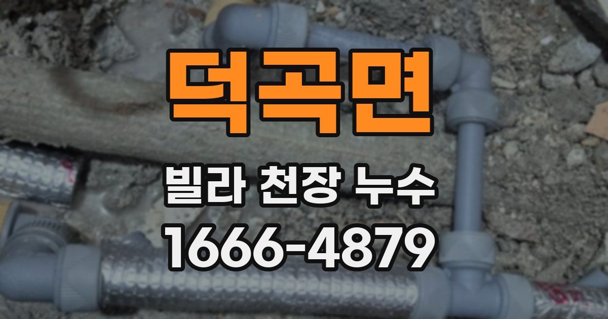 덕곡면 빌라 천장 누수