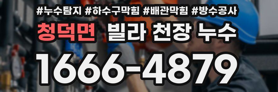 청덕면 빌라 천장 누수
