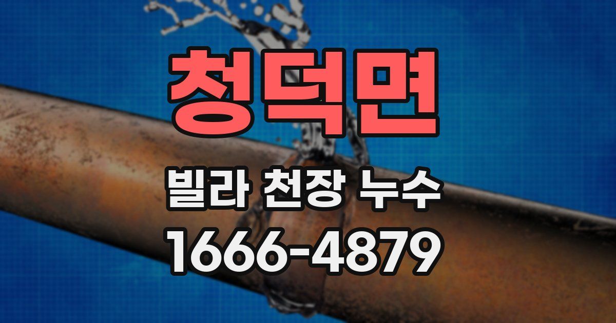 청덕면 빌라 천장 누수