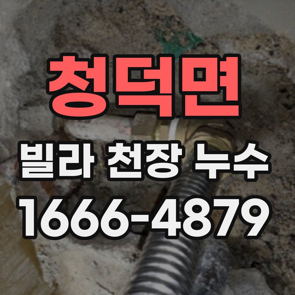 청덕면 빌라 천장 누수