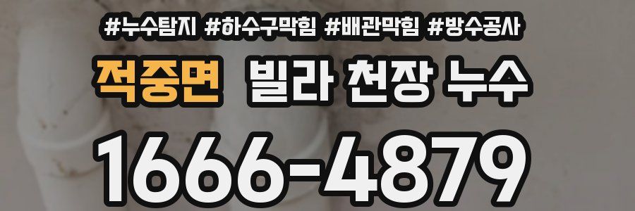 적중면 빌라 천장 누수