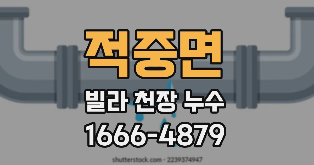적중면 빌라 천장 누수