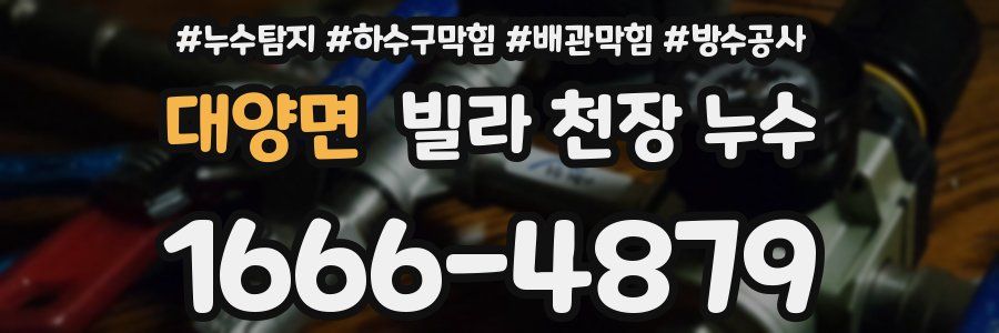 대양면 빌라 천장 누수