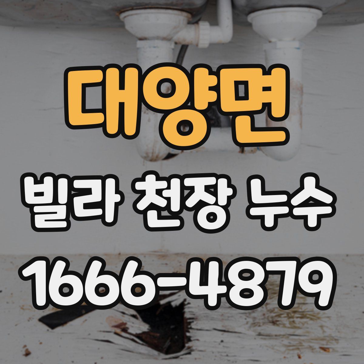 대양면 빌라 천장 누수