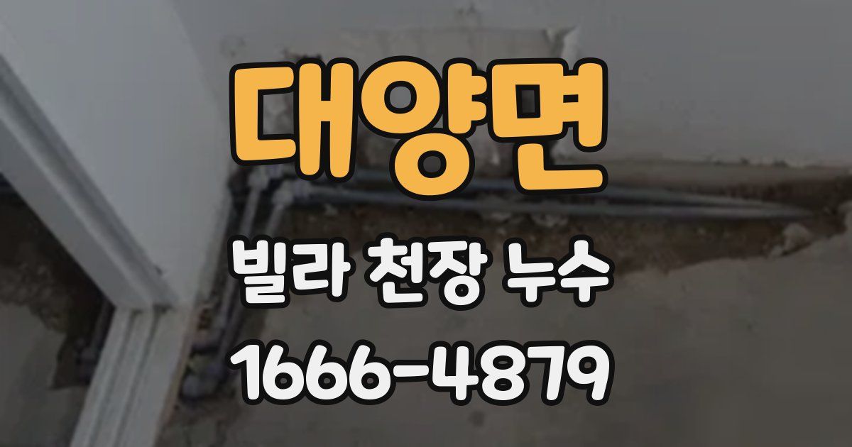 대양면 빌라 천장 누수