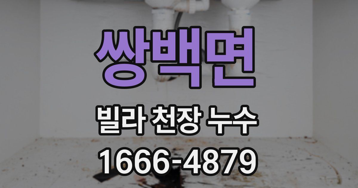 쌍백면 빌라 천장 누수