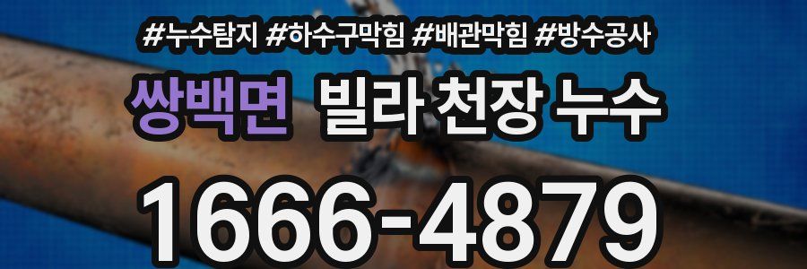 쌍백면 빌라 천장 누수