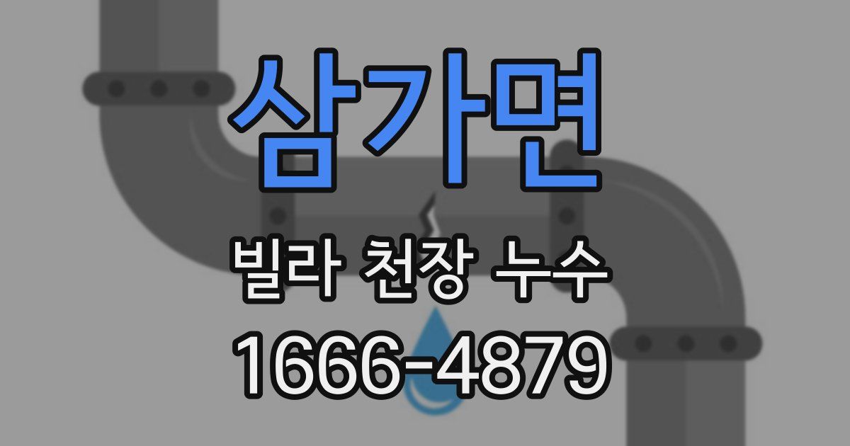 삼가면 빌라 천장 누수