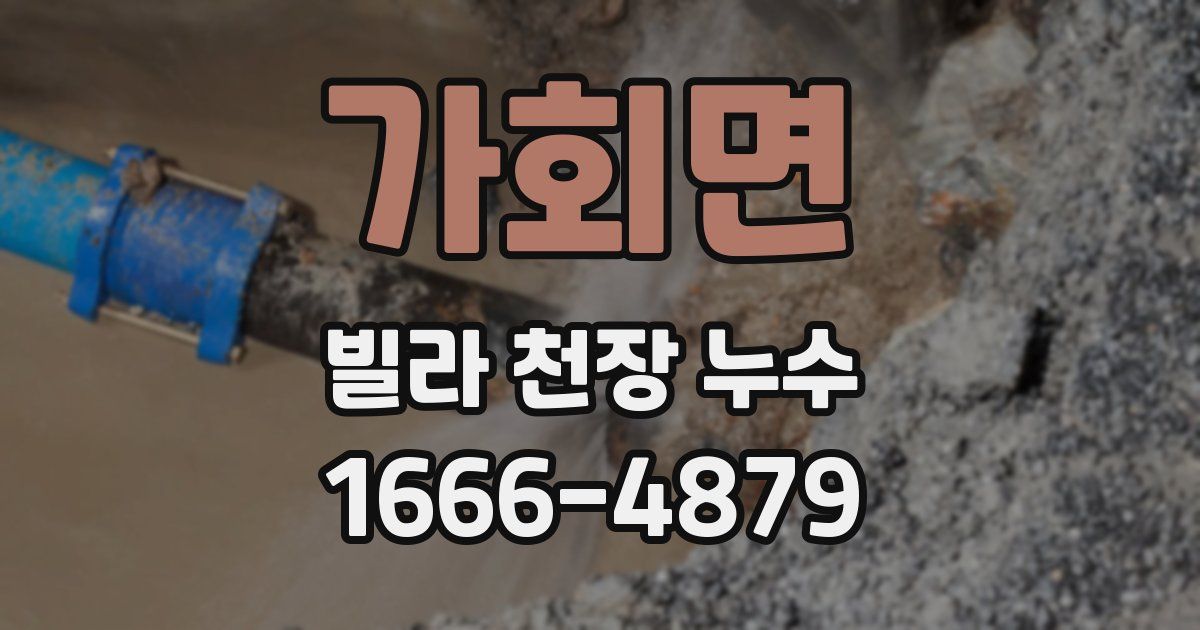 가회면 빌라 천장 누수