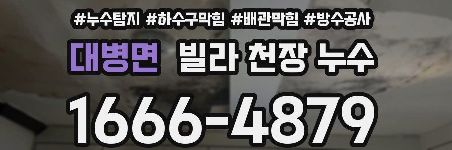 대병면 빌라 천장 누수