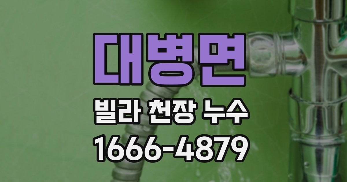대병면 빌라 천장 누수