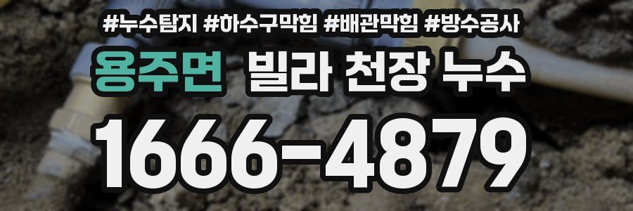 용주면 빌라 천장 누수