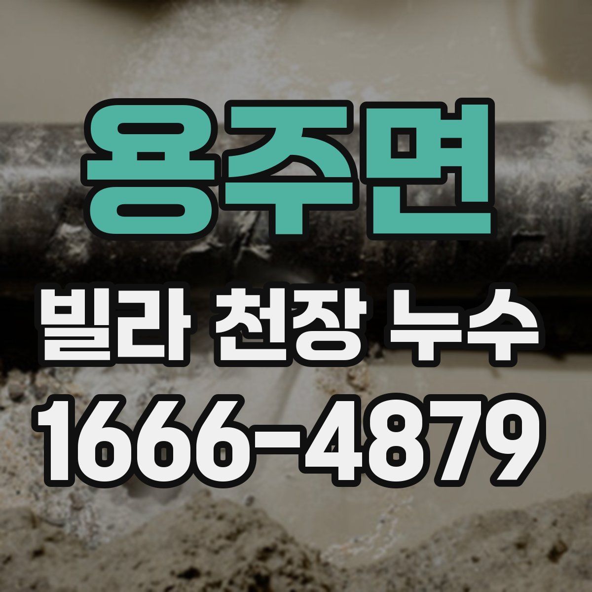 용주면 빌라 천장 누수