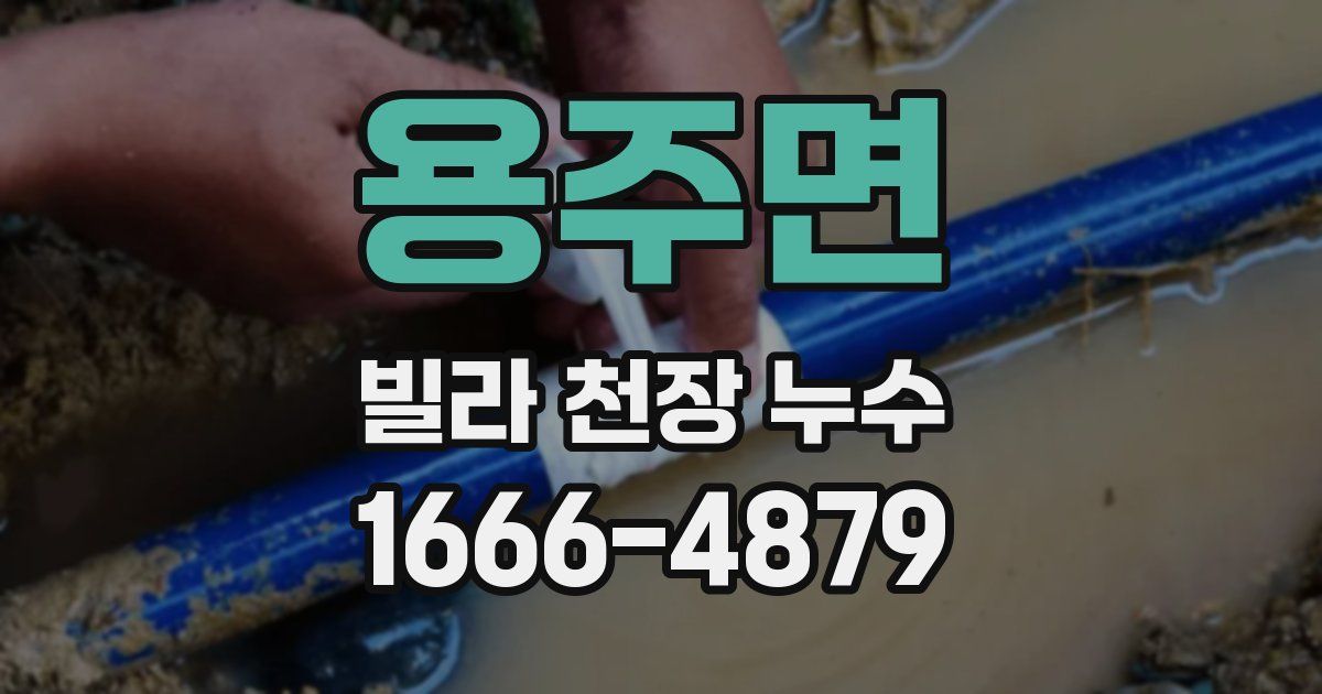 용주면 빌라 천장 누수