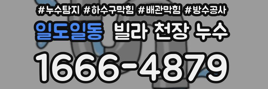 일도일동 빌라 천장 누수