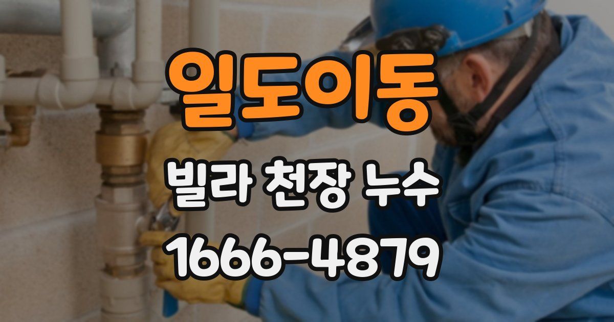 일도이동 빌라 천장 누수