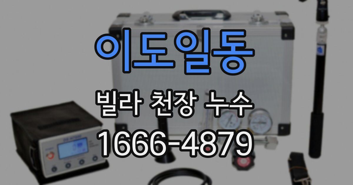 이도일동 빌라 천장 누수