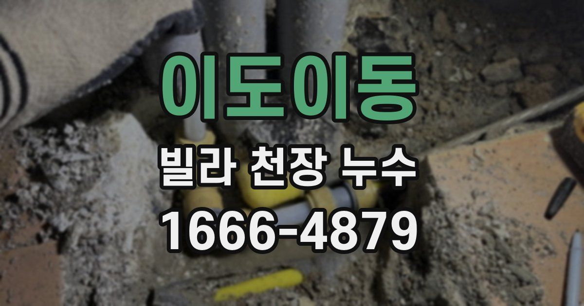이도이동 빌라 천장 누수