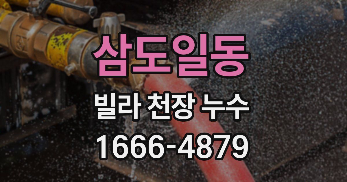 삼도일동 빌라 천장 누수
