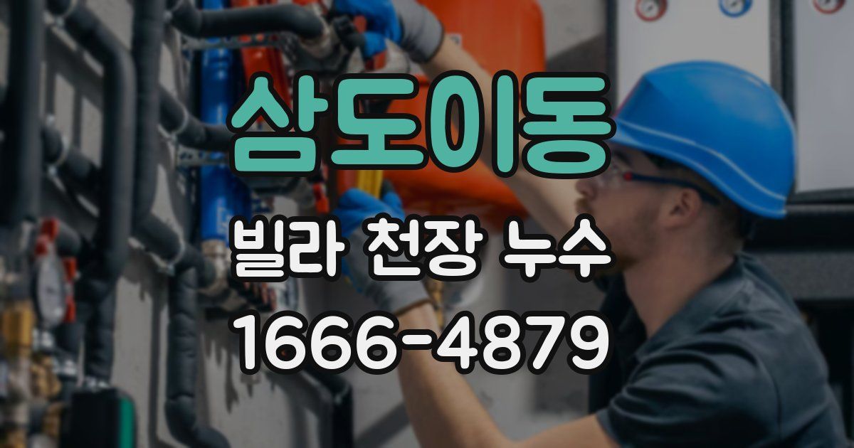 삼도이동 빌라 천장 누수