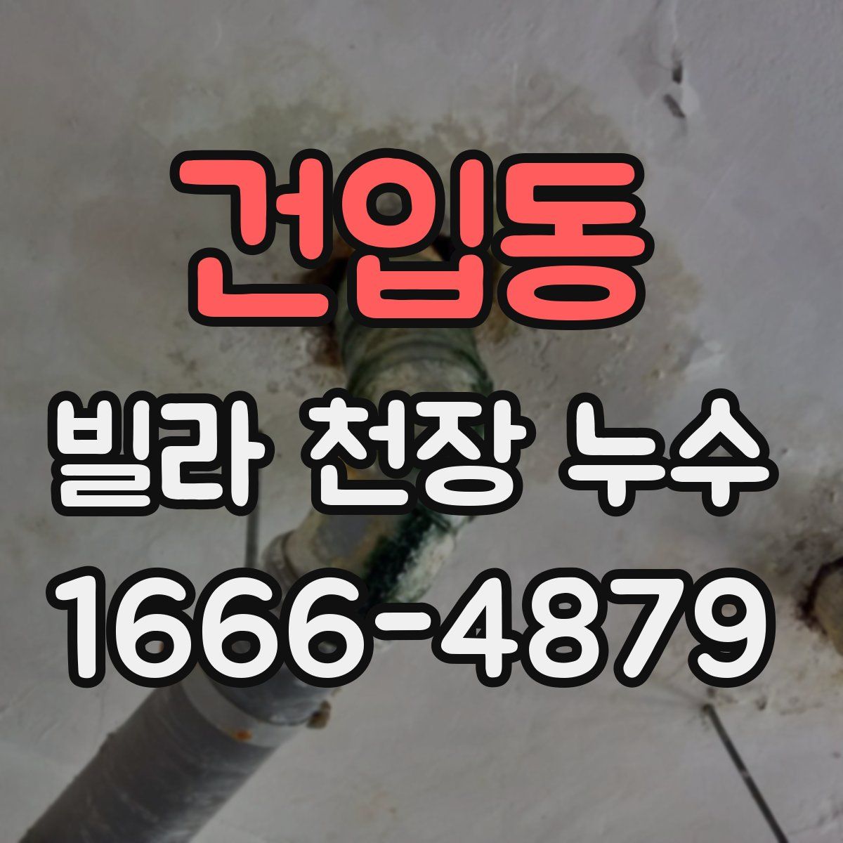 건입동 빌라 천장 누수