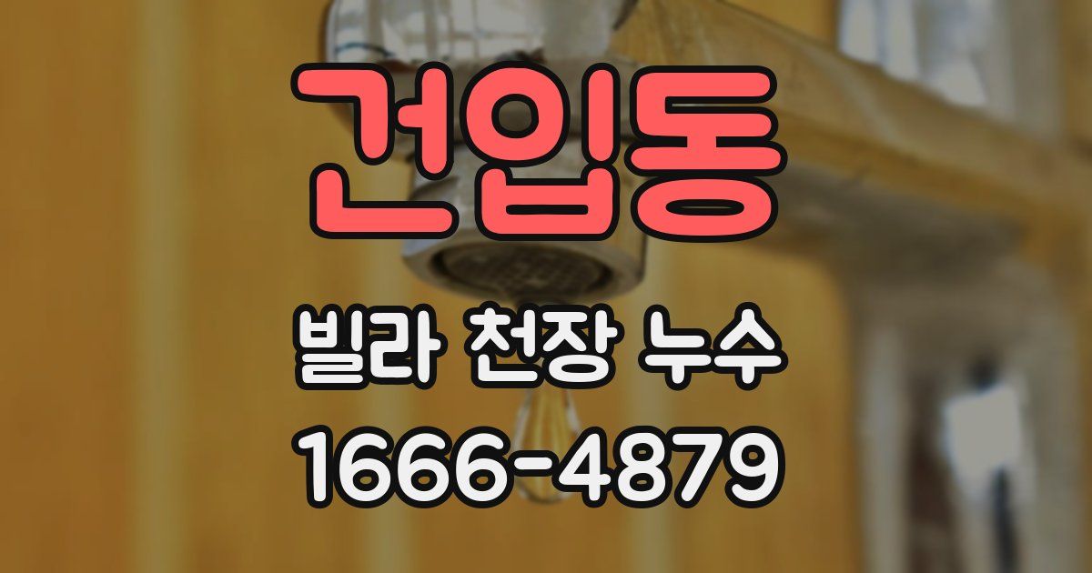 건입동 빌라 천장 누수