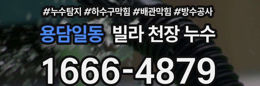 용담일동 빌라 천장 누수