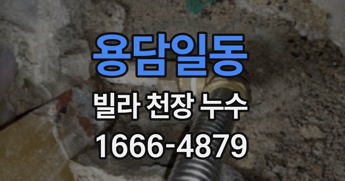 용담일동 빌라 천장 누수