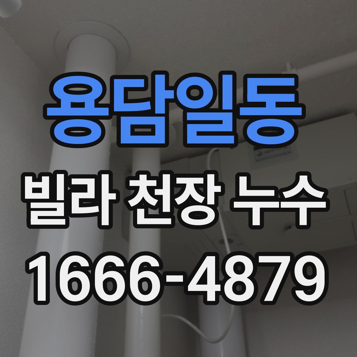 용담일동 빌라 천장 누수