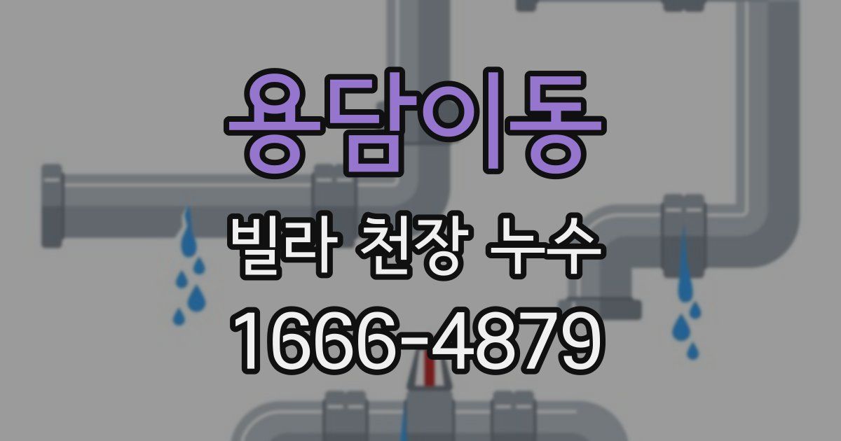 용담이동 빌라 천장 누수