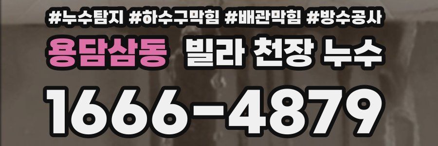 용담삼동 빌라 천장 누수