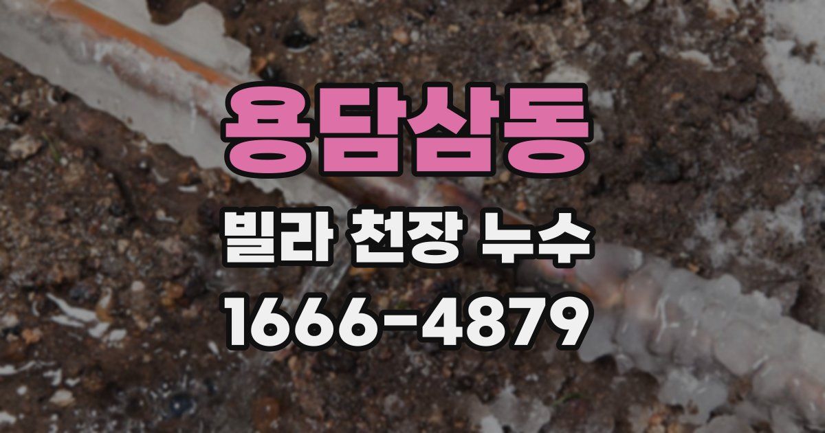 용담삼동 빌라 천장 누수