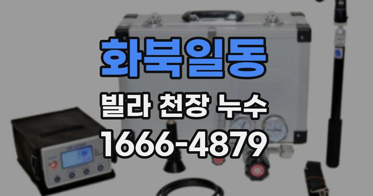 화북일동 빌라 천장 누수