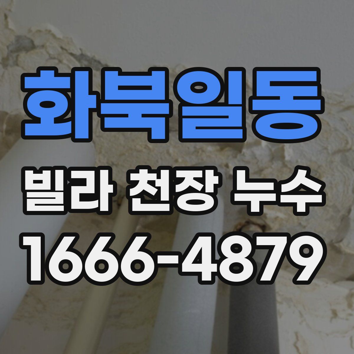 화북일동 빌라 천장 누수
