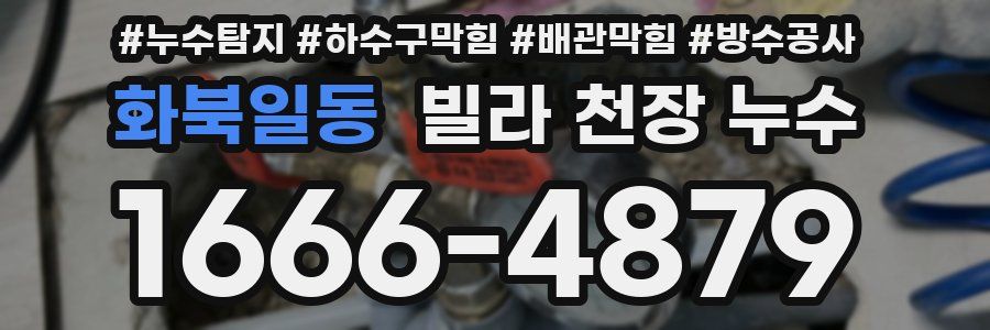 화북일동 빌라 천장 누수