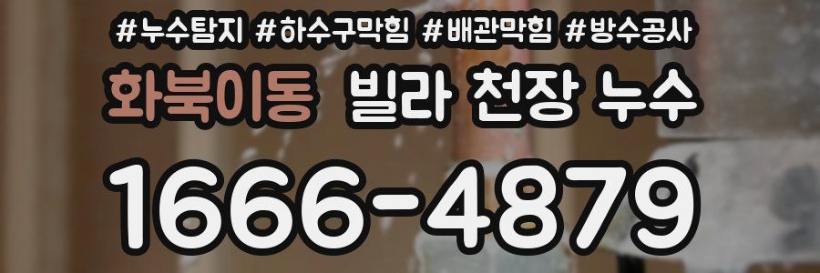 화북이동 빌라 천장 누수