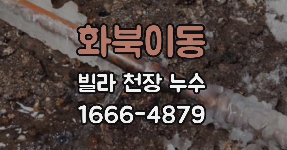화북이동 빌라 천장 누수