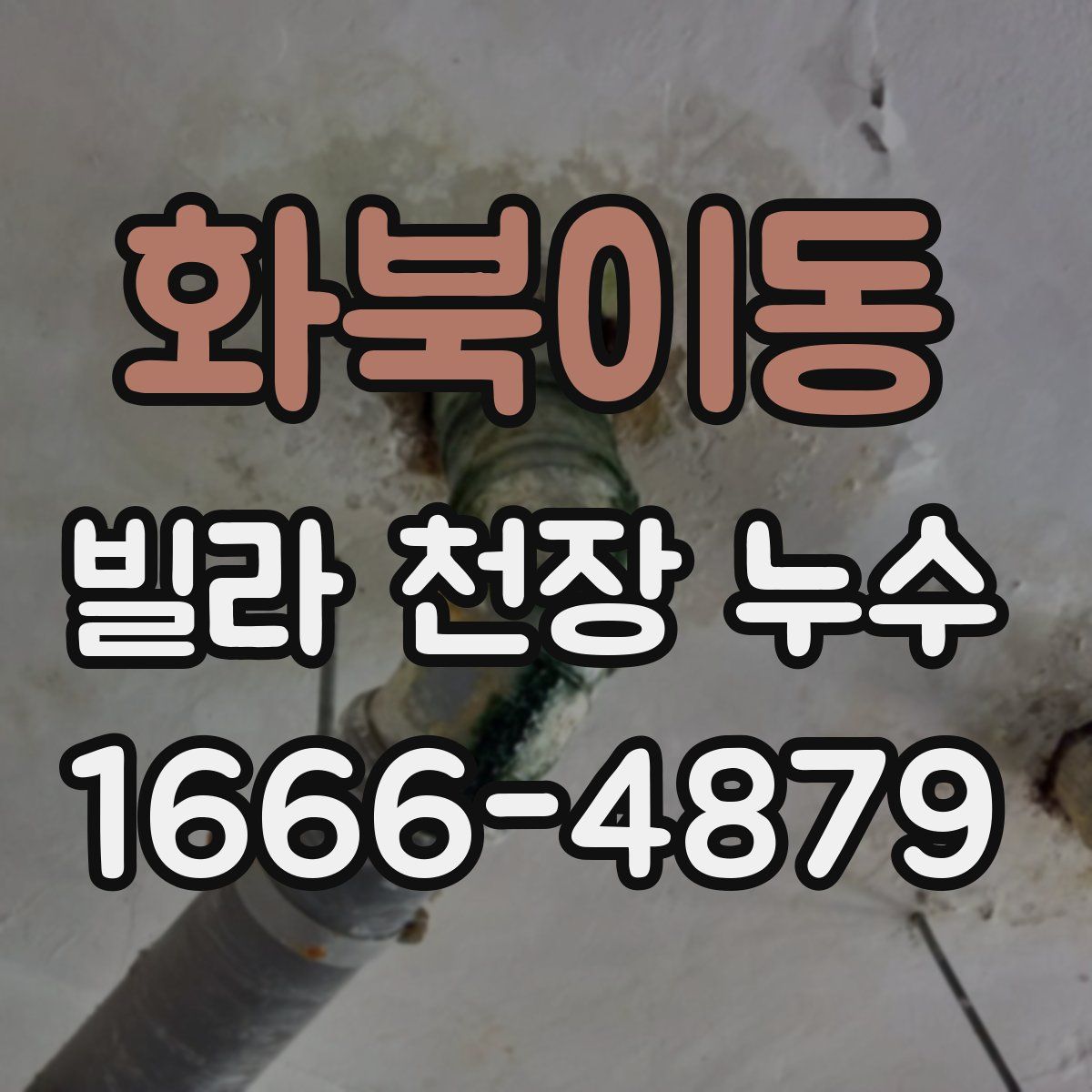 화북이동 빌라 천장 누수