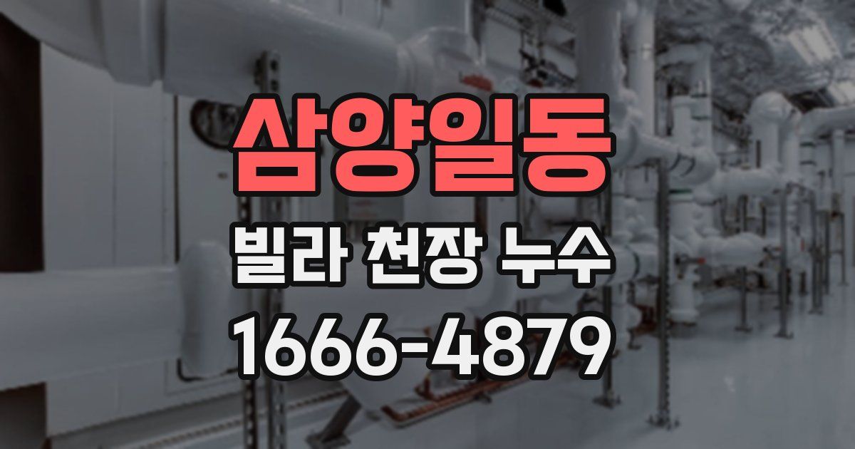 삼양일동 빌라 천장 누수