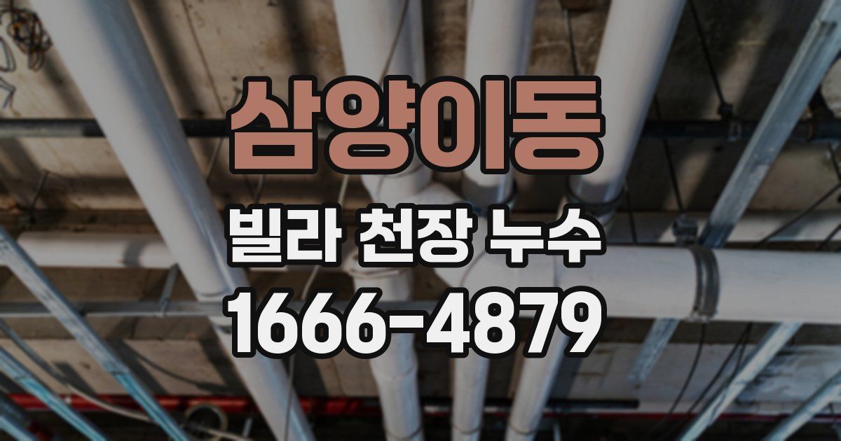 삼양이동 빌라 천장 누수