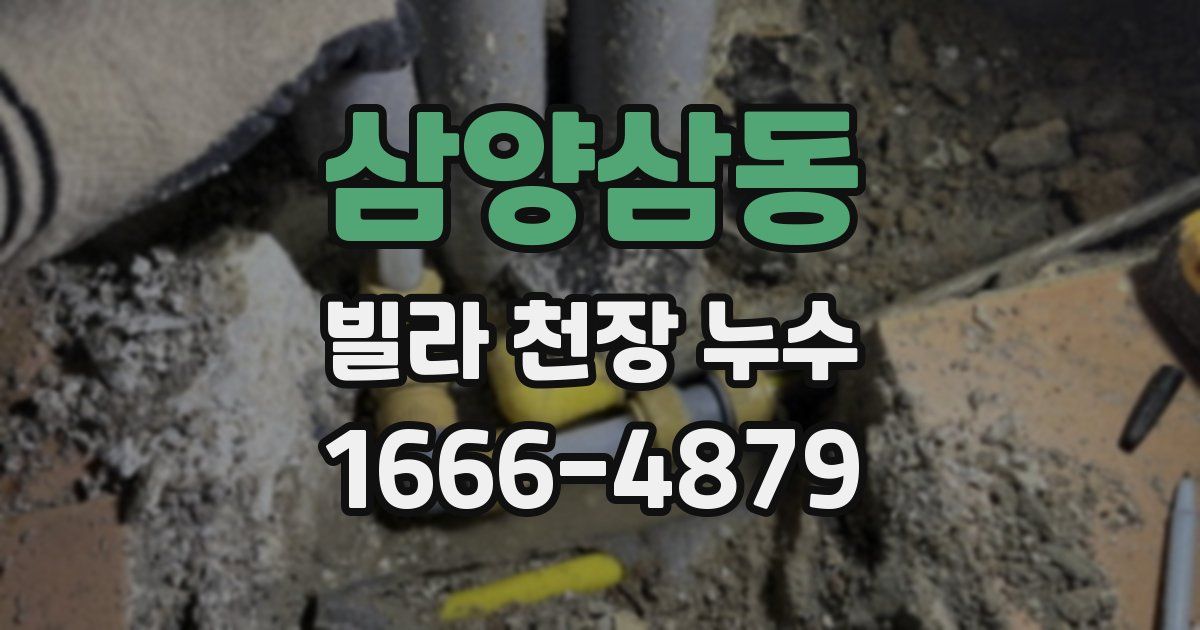 삼양삼동 빌라 천장 누수