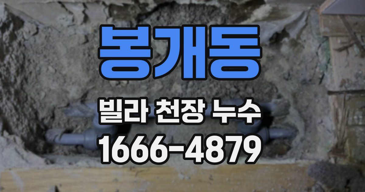 봉개동 빌라 천장 누수