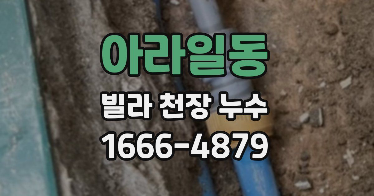 아라일동 빌라 천장 누수
