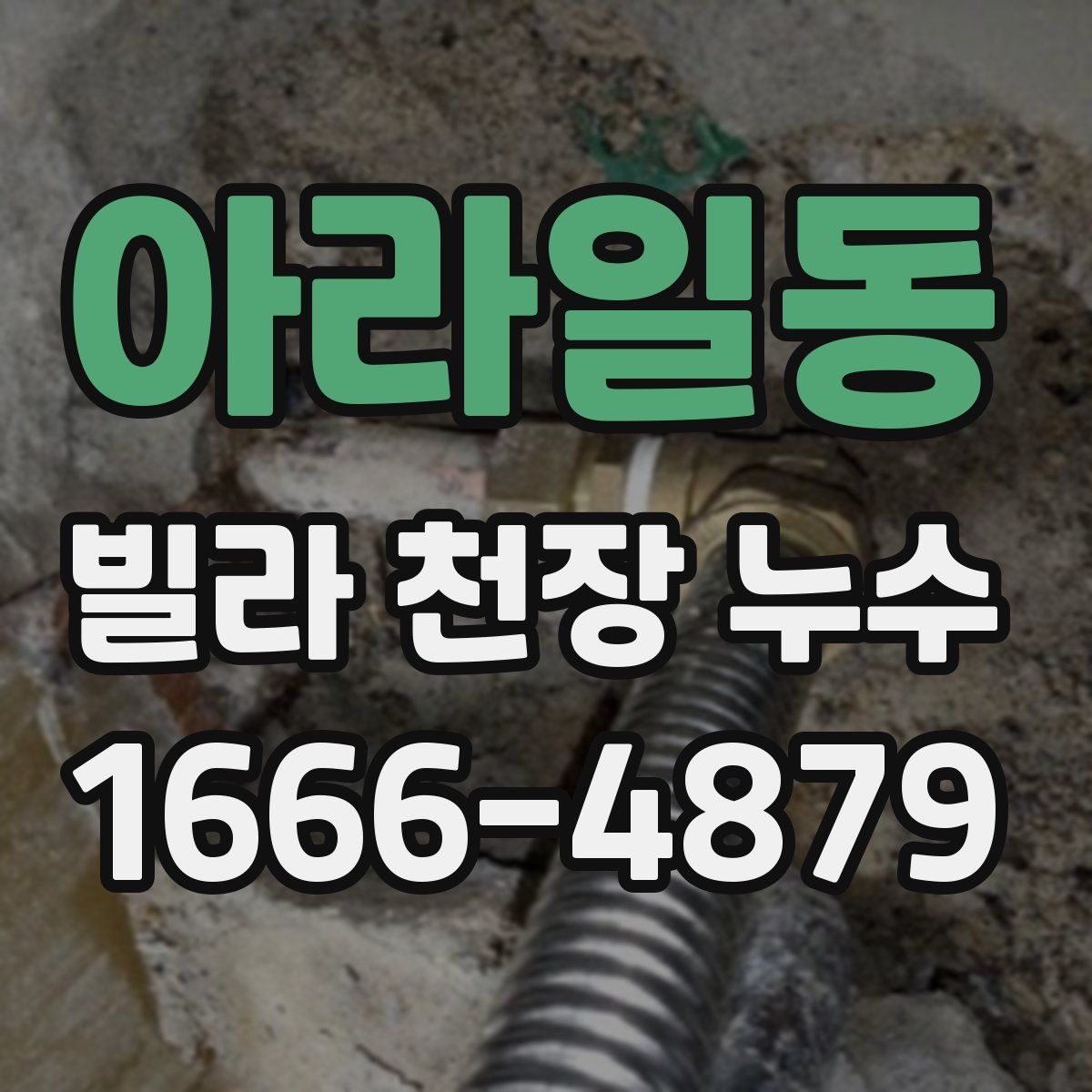 아라일동 빌라 천장 누수