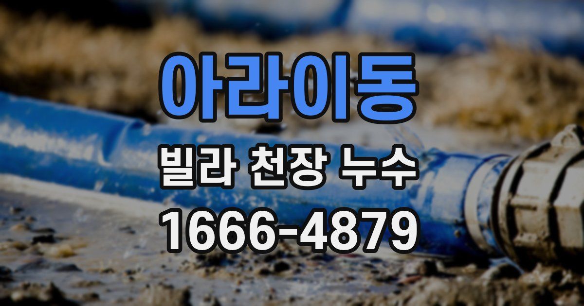 아라이동 빌라 천장 누수