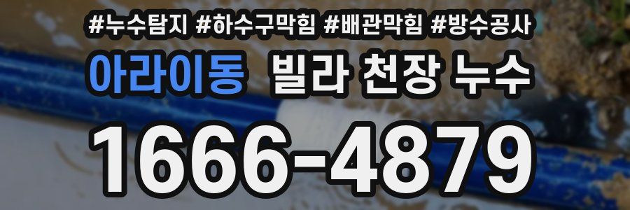 아라이동 빌라 천장 누수