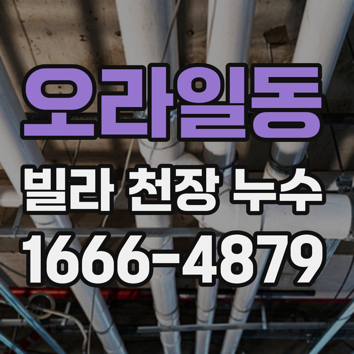 오라일동 빌라 천장 누수